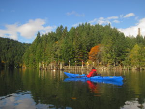 fall paddling around Victoria BC