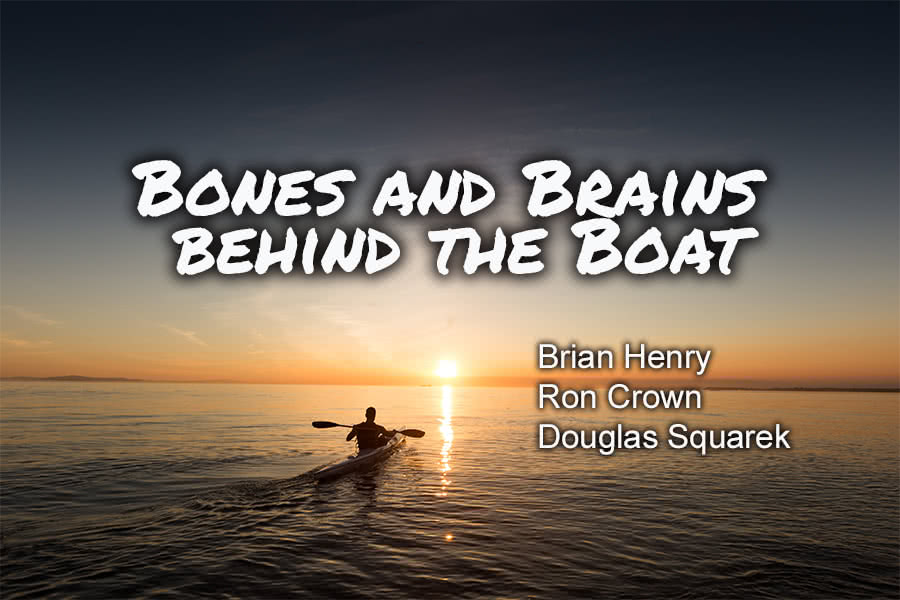 Bones and Brains behind the Boats