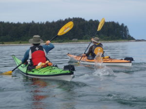 kayaking around vancouver island