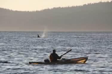 Paddling the Inside Passage: Q & A with Going Solo Adventures