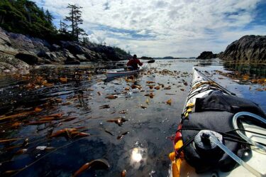 Sea Kayaking Level 3 Skills (Paddle Canada)